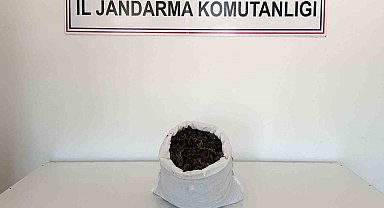 Bingöl'de uyuşturucu madde ele geçirildi