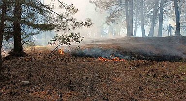 Bingöl'deki orman yangını büyümeden söndürüldü