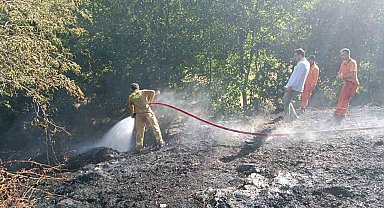 Bingöl'deki orman yangını büyümeden söndürüldü