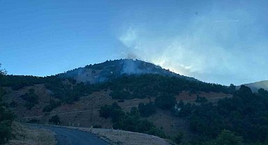 Bingöl'deki orman yangını büyümeden söndürüldü