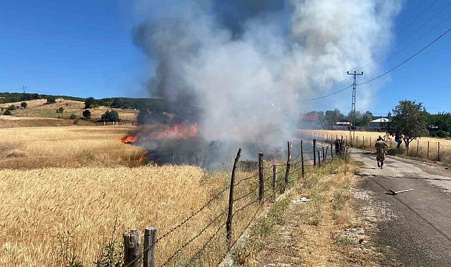 Bingöl'deki tarla yangını söndürüldü