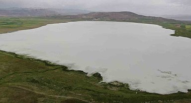 Bu yıl kurumayan Akgöl misafirlerini ağırlıyor