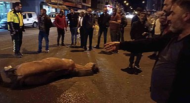 Bunun adı vicdansızlık