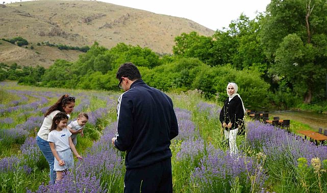 Çağlayan'ın 'Mor' bahçesine ziyaretçi akını
