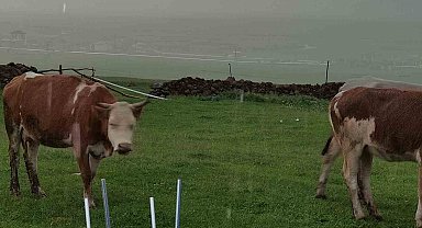 Ceviz büyüklüğünde dolu yağdı, köy beyaza büründü