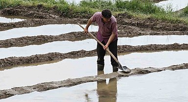 Çukurca'da çeltik ekimi başladı