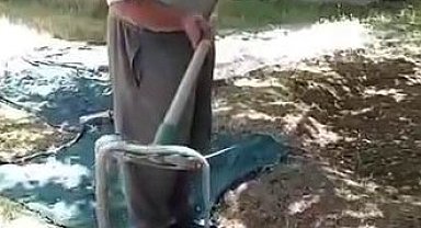 Cuma namazı için evden çıktı, bahçede gördüğü manzara karşısında neye uğradığını şaşırdı