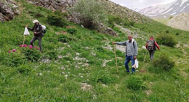 Dağlarda 20 kilometre yol kat edip mantar topluyorlar