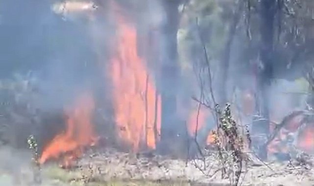 Derecik'te ot yangını