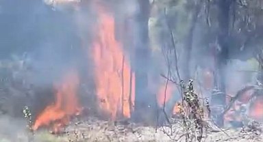 Derecik'te ot yangını