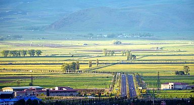 Doğu'da tarımsal arazilerin yüzde 68'i ekiliyor