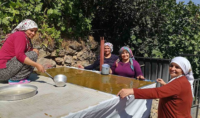 Dutun önemli geçim kaynağı olduğu Kemaliye'de kadınların zorlu pestil ve pekmez yapımı imece usulü ile eğlenceli hale geliyor