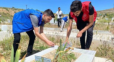 Elazığ'da gönüllü gençlerden kimsesizler mezarlığında temizlik