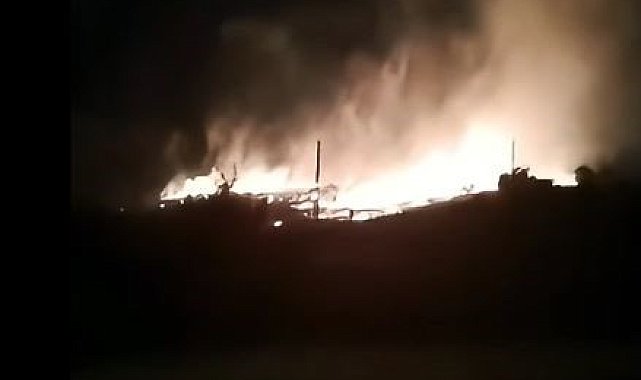 Elazığ'da korkutan orman yangını