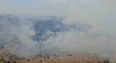 Elazığ'da orman yangını: Ekiplerin havadan ve karadan müdahalesi sürüyor
