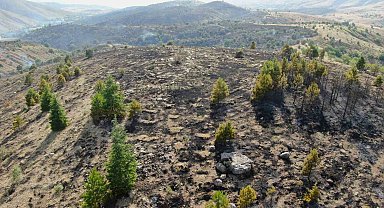 Elazığ'da orman yangını kontrol altına alındı, yüzlerce dönümlük alan kül oldu