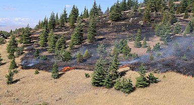 Elazığ'da ormanlık alanda yangın