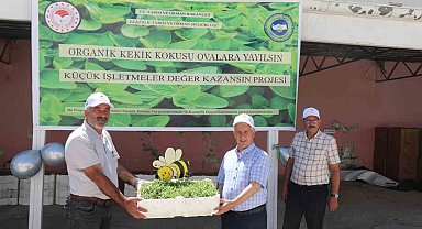 Elazığ'da üreticilere 30 bin kekik fidesi dağıtıldı