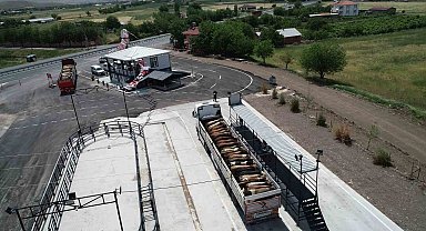 Elazığ'da usulsüz hayvan sevkiyatına 2 milyon 300 bin lira ceza