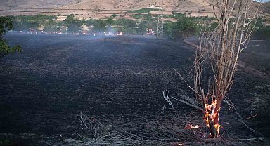 Elazığ'da yangın: 20 dönüm ekili alan kül oldu