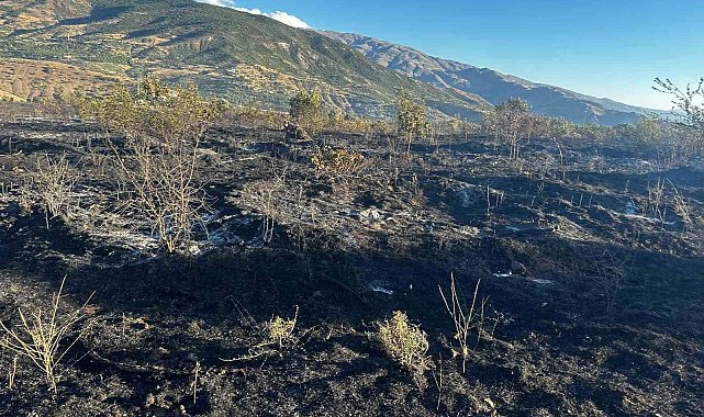 Elazığ'da yangın: 4 kişi yaralandı, yüzlerce kayısı ağacı yandı