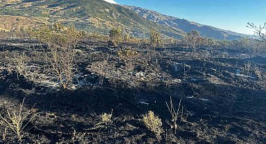 Elazığ'da yangın: 4 kişi yaralandı, yüzlerce kayısı ağacı yandı