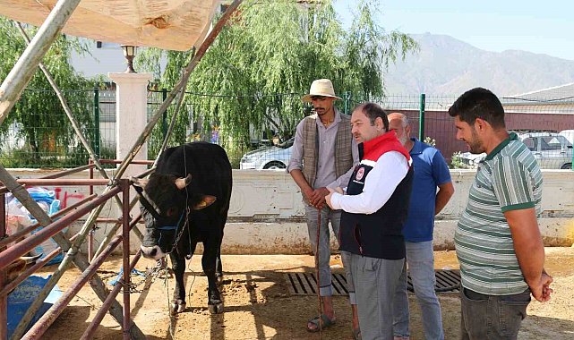 Erzincan Hayvan Pazarında denetimler sürüyor