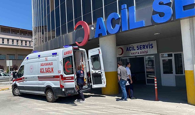 Erzincan'da acemi kasaplar hastanenin yolunu tuttu