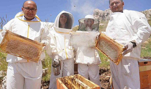 Erzincan'da kadınlar arı sütü üretecek