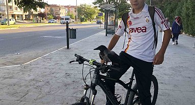 Erzincan'da karga ile lise öğrencisinin dostluğunu görenler imreniyor