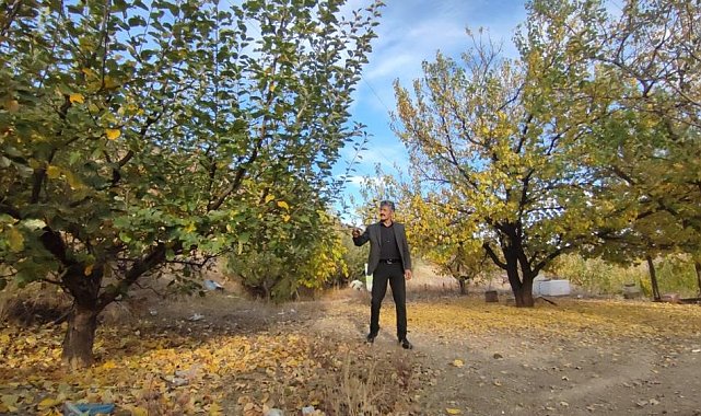 Erzurum Valiliği'nde ormanlara yasaklama kararı