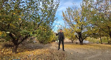 Erzurum Valiliği'nde ormanlara yasaklama kararı