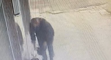 Gözüne kestirdiği çiçeği saksısıyla birlikte saniyeler içerisinde götürdü