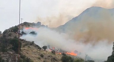 Hakkari'de anız yangını yerleşim yerlerine sıçradı