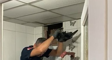 Havalandırma boşluğuna düşen kuş kurtarıldı