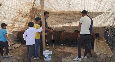Hayvan pazarı çarşıya taşındı: Sıkı pazarlıklar başladı