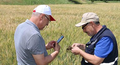 Hububat sahasında canlı yayınlı çözüm
