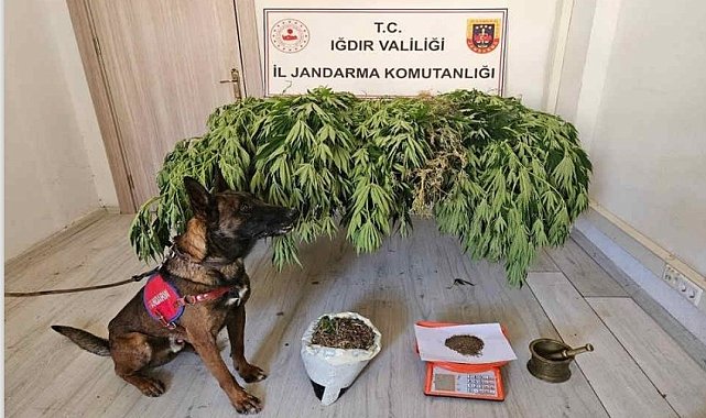 Iğdır'da uyuşturucu operasyonu: 2 kişi yakalandı