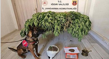 Iğdır'da uyuşturucu operasyonu: 2 kişi yakalandı