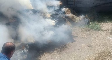 Iğdır'da yüzlerce saman balyası küle döndü