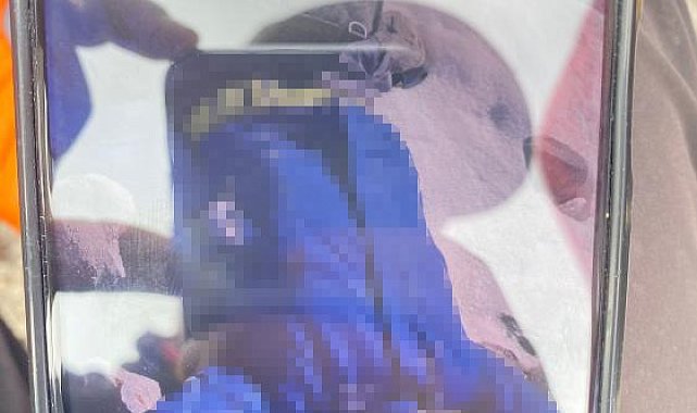 İranlı dağcı Ağrı Dağı'nda hayatını kaybetti