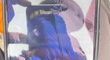 İranlı dağcı Ağrı Dağı'nda hayatını kaybetti