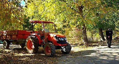 İşte Doğu'nun bitkisel üretim karnesi