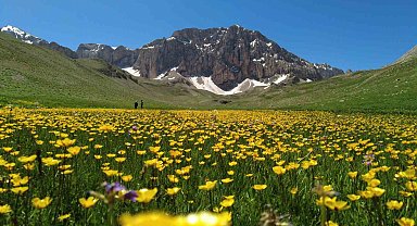 İsviçre Alperi değil, Munzur Dağı'nda ki Merg Yaylası