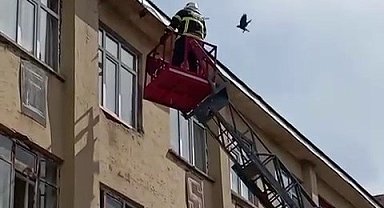 İtfaiye ekiplerinden karga kurtarma operasyonu