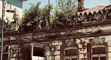 Kars'ta tarihi binanın üzerinde ağaç yetişti