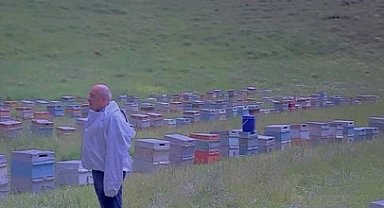 Kovanlarını taşıyan arıcılar şimşeklerin arasında kaldı