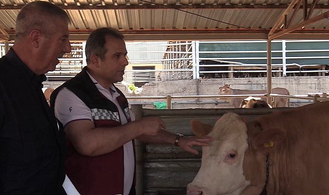 Kurban Bayramı öncesi hayvan pazarında denetim