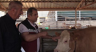 Kurban Bayramı öncesi hayvan pazarında denetim