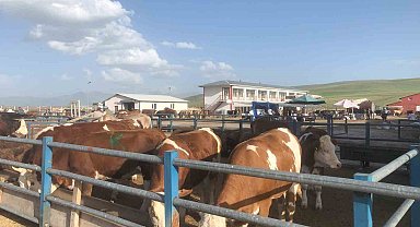 Kurban pazarları hareketleniyor